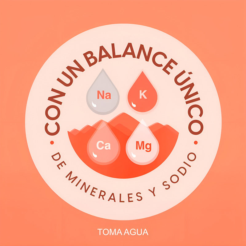 Agua Purificada Bonafont 40 Pzas De 330 Ml - Eurotruck Mexico